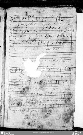88 Giovanni Gabrieli: O Domine Jesu Christe adoro te in cruce vulneratum