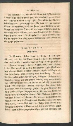 Sechste Klasse. Würmer.