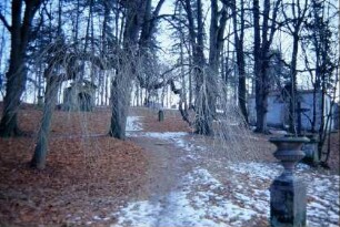 Blick über den alten Friedhof mit historischen Grabsteinen