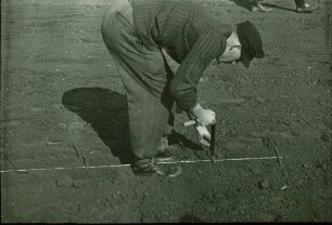 Fotografie: Gartenbautechnik-Freiland, Pflanztechnik, Arbeitsplatz, Arbeitskraft