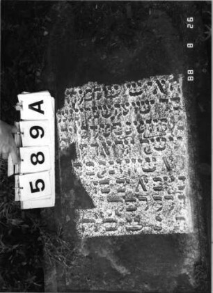 Grabstein 589 (Index: 100099853) Maße HxBxT: 174x54x13 cm Symbolik: Eichenlaub: Grabstein 589A