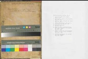 Theologisch-juristische Sammelhandschrift