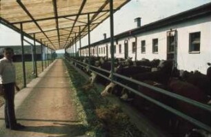 Fotografie: Futtervorlage, Futtertisch
