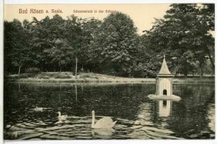 Bad Kösen. Schwanenteich in den Anlagen
