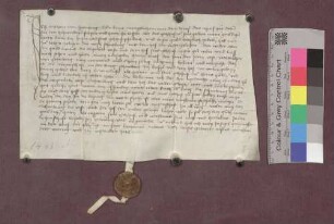 Anton von Hornberg übernimmt von Abt Kaspar von St. Gallen die Veste Schneeburg bei Ebringen und den dazugehörigen Bauhof als Lehen.