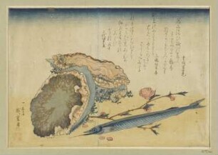 Seeohren und Schnepfenaal aus Utsukushii, aus: "Große Serie mit Fischen"