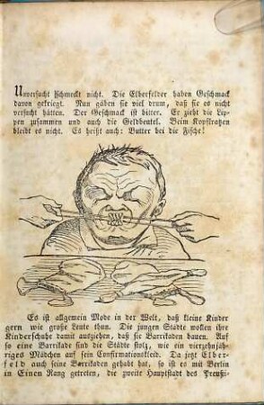 Die große Schlacht bei Remlingrade, oder der Sieg der Bergischen Bauern über die Elberfelder Allerwelts-Barrikadenhelden am 17. Mai 1849