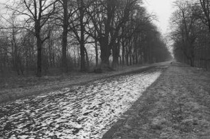 Dresden. Blick in die Pieschener Allee
