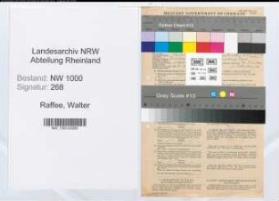 Entnazifizierung Walter Raffee, geb. 28.04.1893 (Verw.-Angest.)