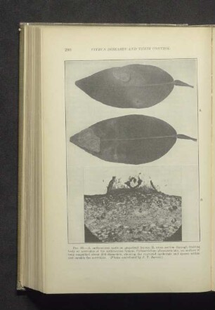 Fig. 89.