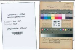 Entnazifizierung Wilhelm Borgemeister , geb. 12.09.1886 (Revisor)