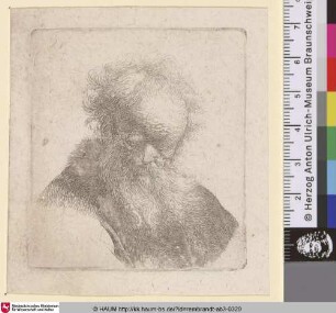 [Bärtiger Greis mit weißem Ärmel; Bust of an Old Man with Flowing Beard and White Sleeve; Vieillard à grande barbe et tête chauve]