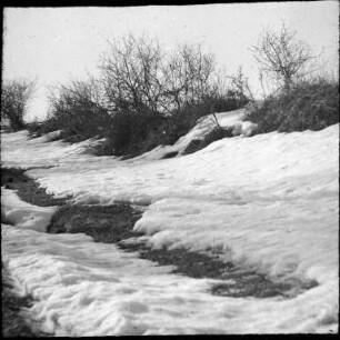 Schneeschmelze