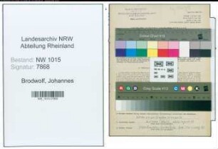Entnazifizierung Johannes Brodwolf , geb. 11.03.1909 (Kaufmann)