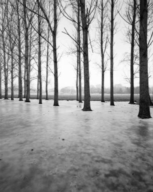 Barnitz/Elbe, Wendland, Deutschland, 2003