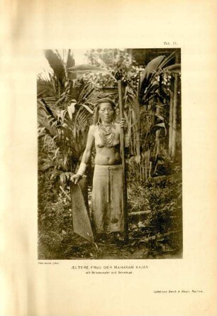Taf. 11. Aeltere Frau der Mahakam Kajan