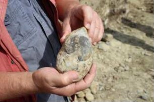 Fossilienfunde an der Baustelle des Erweiterungsbaus des Kreishauses Heidkamp