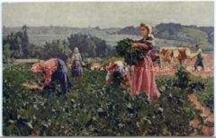 Postkarte mit Gemäldereproduktion: Frauen bei der Ernte