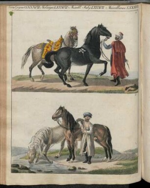 No. 27. Verm. Gegenstände LXXXVII. Das Pferd Mit Seinen Verschiedenen Racen.