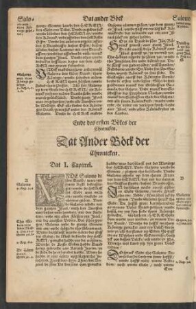 Dat Ander Böck der Chronica.