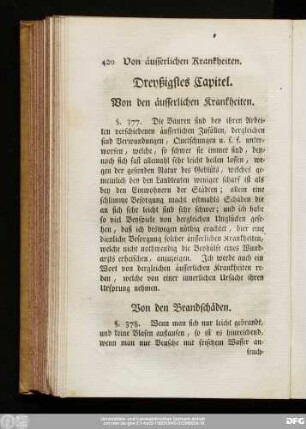 Dreyßigstes Capitel. Von den äusserlichen Krankheiten.