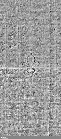 Lilie / Tj = S.7/8+13/14