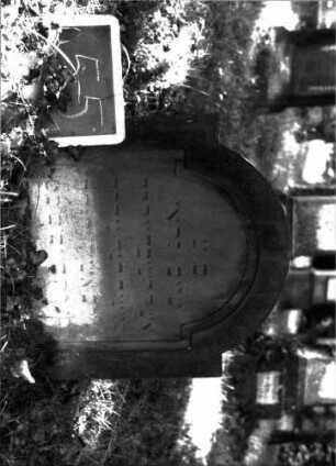 Grabstein 55 (Index: 100101007) Material: Sandstein Zustand: eingesunken, stark verwittert mit Textverlust Maße HxBxT: 60x61x7 cm Beschreibung: Stele, eingezogener Rundbogenabschluß: Grabstein 55