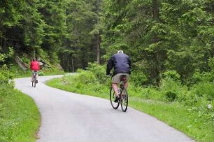 Radfahrer im Wald : Zwei Radfahrer fahren auf einem asphaltierten Weg durch den Wald mühsam bergauf. Aufgenommen im Stilluptal bei Mayrhofen (Tirol) am 28. Mai 2009