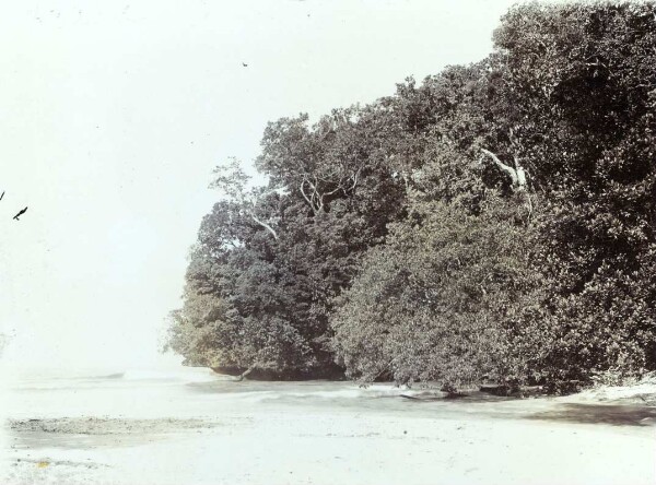 "Rivière salée Lendansin (extérieur). Embouchure entre Lamasong et Amba".