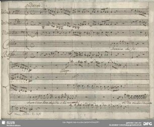 Antigono. Excerpts - Mus.2973-F-6,5 : S, orch, bc