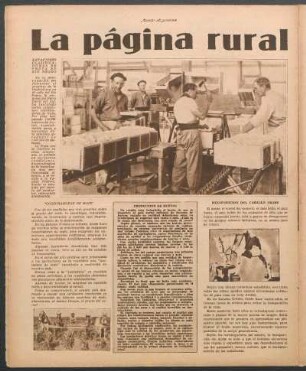 Producción de huevos