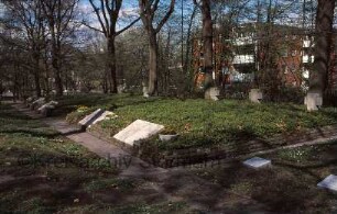 Alter Friedhof: Kriegsgräberstätte: Massengräber 1945