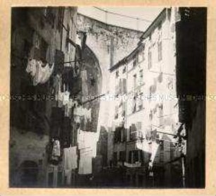 Genua