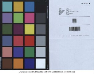 Georgii Adami Struvii ICti Centuria Decisionum Quaenam Res Feudales? Quaenam Allodiales? : cui annexa Semi-Centuria Observationum de Feudo Hereditario ; Cum Indice Decisionum & Observationum