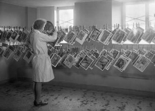 Fotografin (Frau Schneider, geb. Kilian) beim Trocknen von Abzügen im Labor des Bildarchivs Foto Marburg
