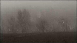Morgen #04