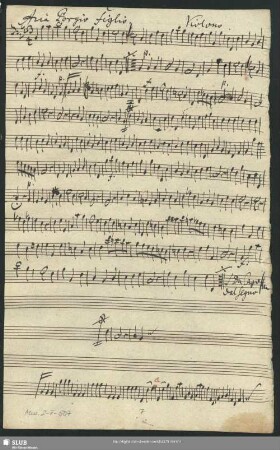 Violono.