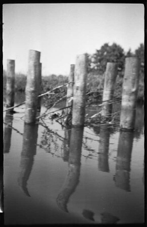 Spiegelung im Wasser eines Sees