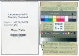 Entnazifizierung Walter Meyer , geb. 04.05.1915 (Kaufmann)