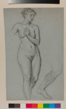 Aktstudie einer stehenden Frau; Detailstudie