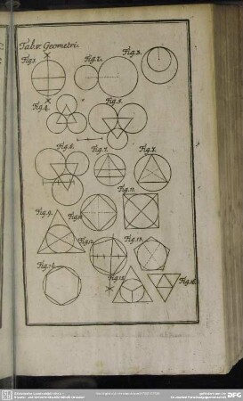 Tab. V. Geometri