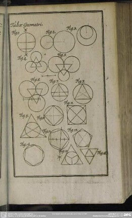 Tab. V. Geometri