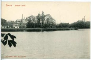 Borna. Breiter Teich