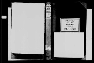 Wiesenbach, katholische Gemeinde: Geburtenbuch 1810-1869