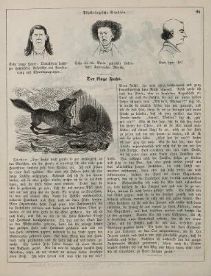 "Psychologische Studien" "Der kluge Fuchs"