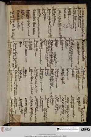 aus einem lat. grammatisch-lexikalischen Glossar (13. Jh.) in derivatorischer Anordnung