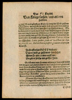 Das VI. Capitel. Von Kriegs sachen/ und andern Zufellen.