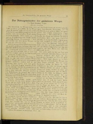 Zur Naturgeschichte der gemeinen Wespe.