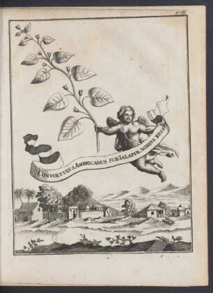 Zu p. 269