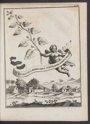 Zu p. 269